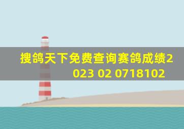 搜鸽天下免费查询赛鸽成绩2023 02 0718102